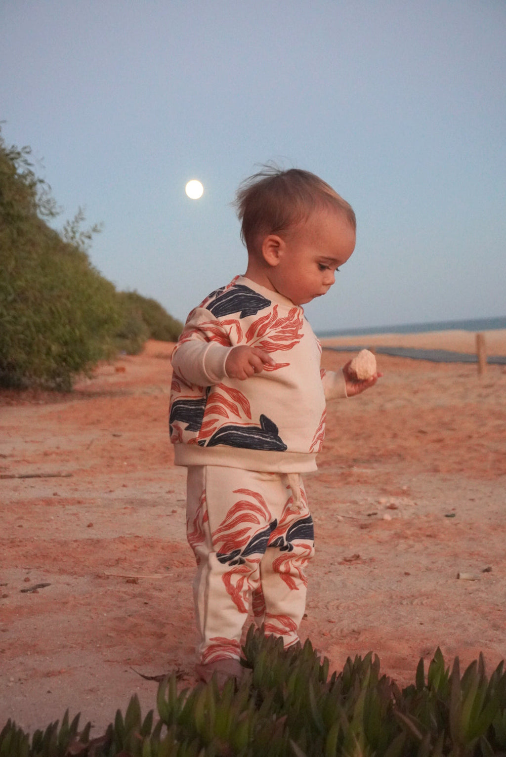 Ekologisk Sweatshirt WHALE